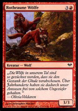 Rotbraune Wölfe (Russet Wolves)